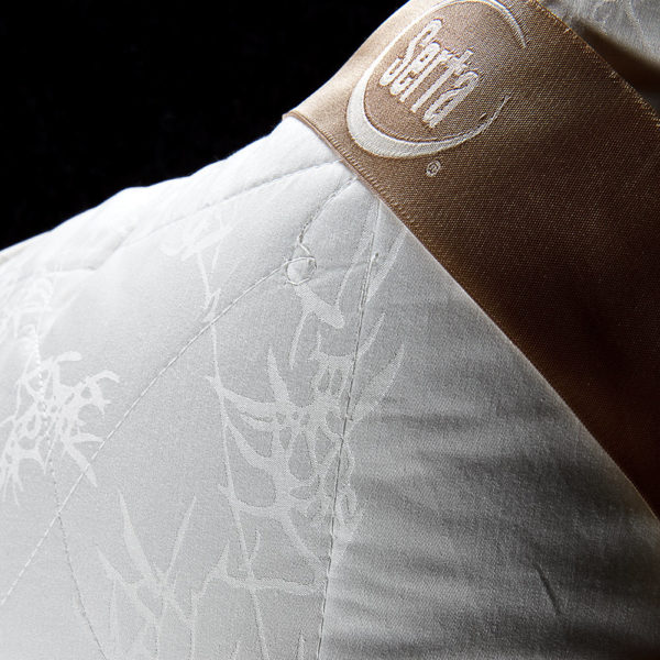 bamboo-lifestyle-cast-1