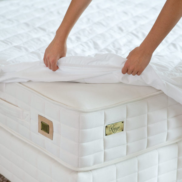 basic-alez-lifestyle-cast