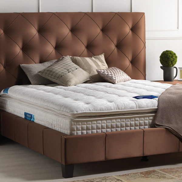 magnifique-lifestyle-cast